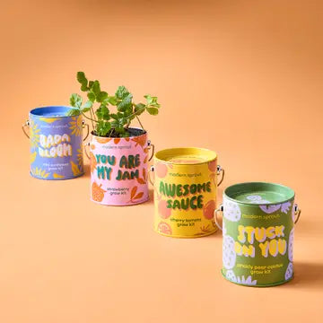 Complimentary Color Grow Kit | Playful Mini Plant Grow Kit with Reusable Can