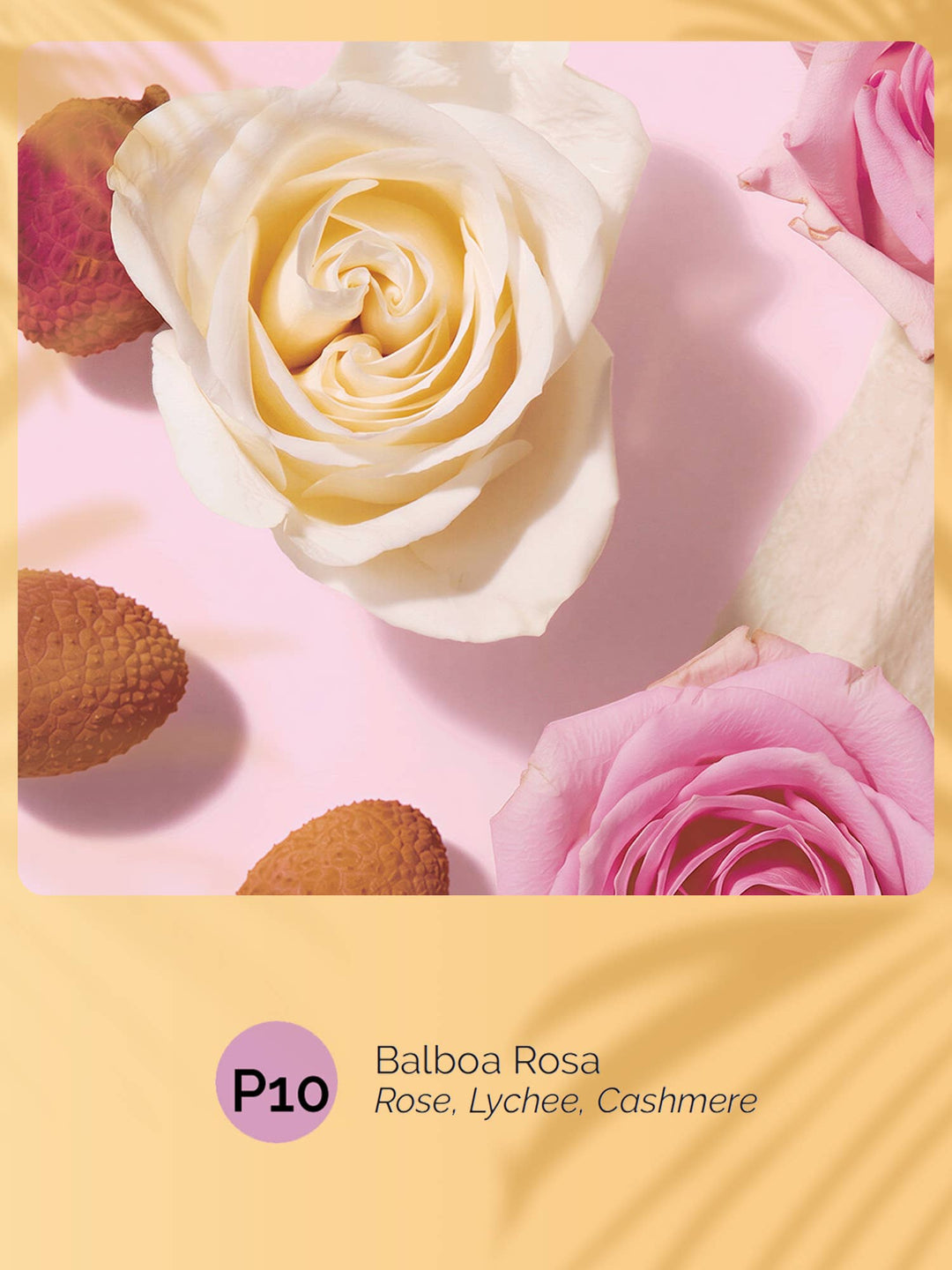 Summer New Product (Shipment on 7/10/26) Balboa Rosa | P10 Pheromone Perfume | 06 ML Keychain Roll on Perfume