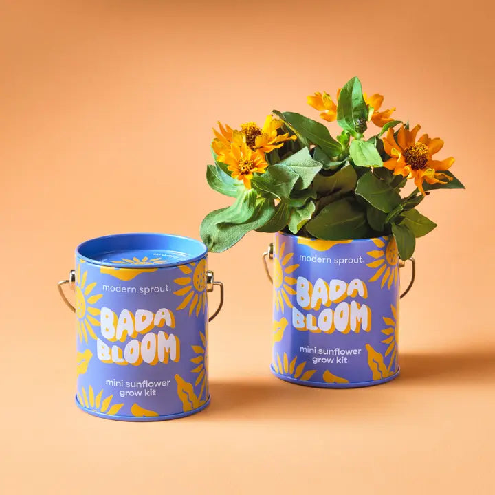 Complimentary Color Grow Kit | Playful Mini Plant Grow Kit with Reusable Can