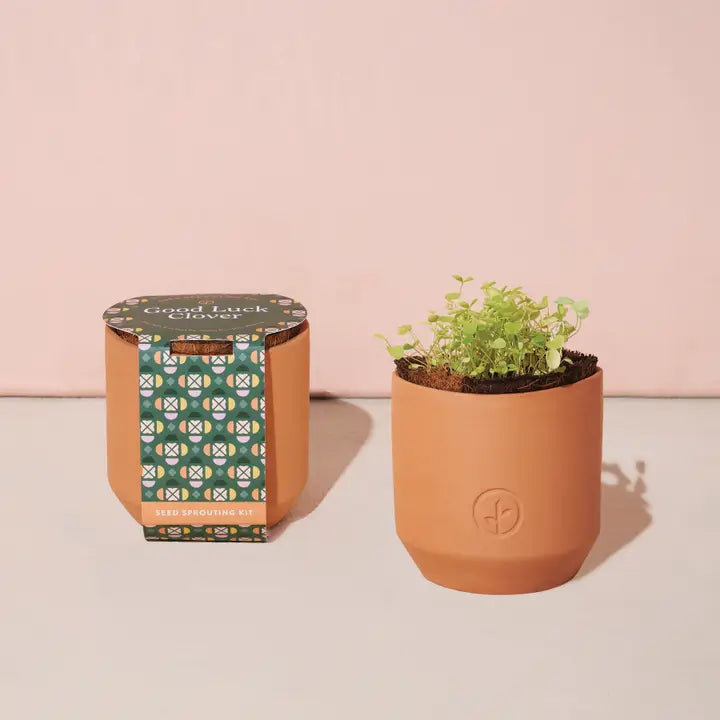 Tiny Terracotta Grow Kit | Mini Seed Sprouting Kit with Terracotta Planter