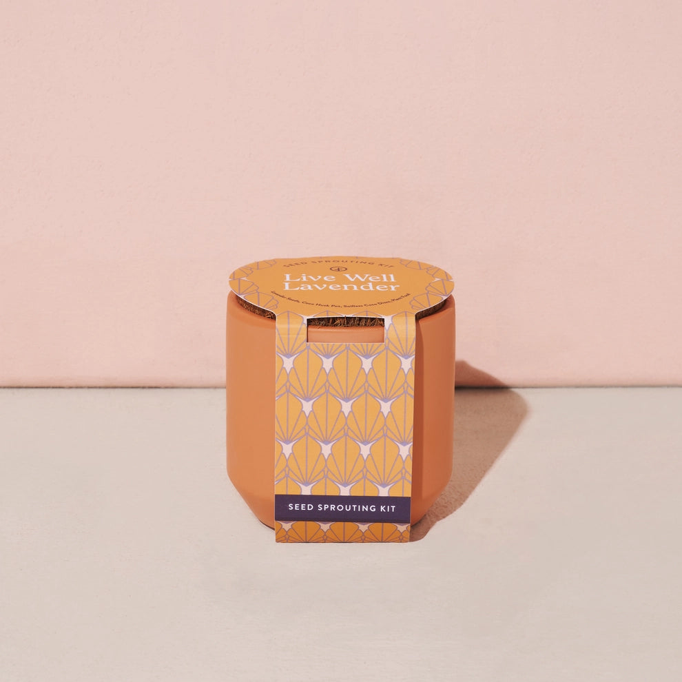 Tiny Terracotta Grow Kit | Mini Seed Sprouting Kit with Terracotta Planter