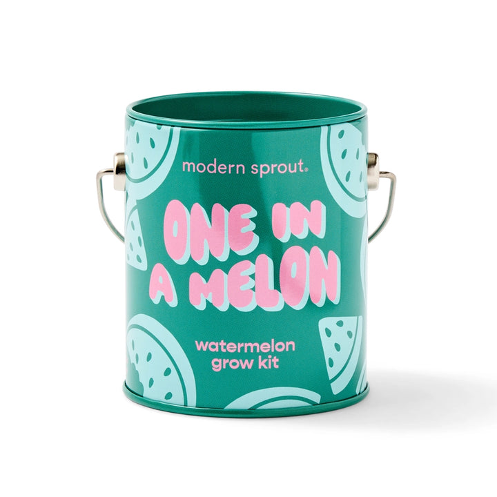 Complimentary Color Grow Kit | Playful Mini Plant Grow Kit with Reusable Can