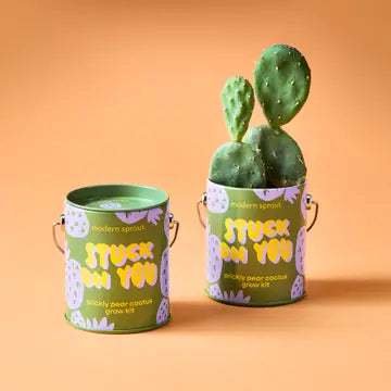 Complimentary Color Grow Kit | Playful Mini Plant Grow Kit with Reusable Can