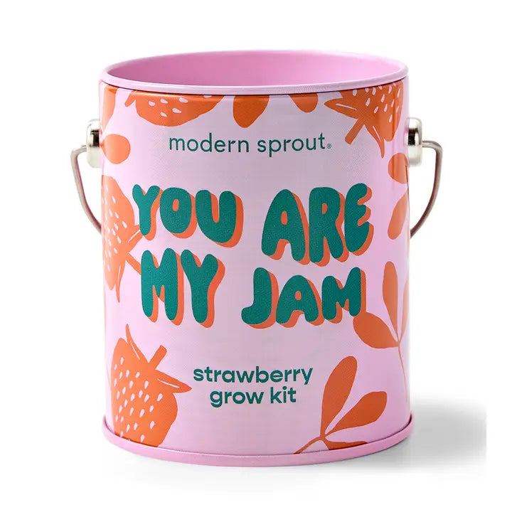 Complimentary Color Grow Kit | Playful Mini Plant Grow Kit with Reusable Can