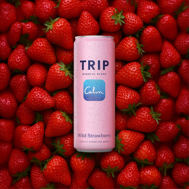 Wild Strawberry Mindful Blend